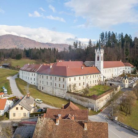 Apartma Zmalinka Stahovica Esterno foto