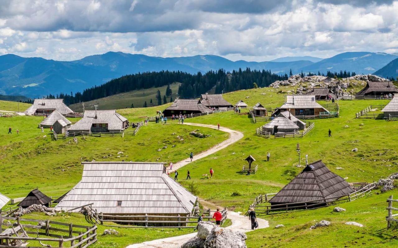 Apartma Zmalinka Stahovica Esterno foto